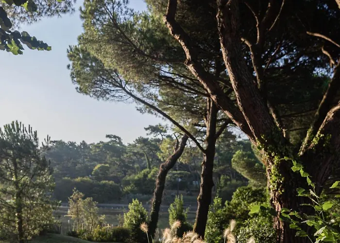 Maison Chiberta Hotel